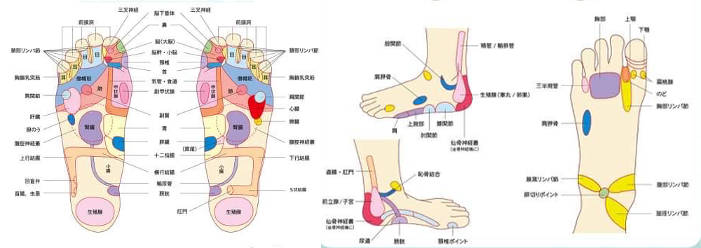 足つぼ療法について